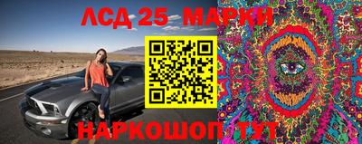 гашик Можга
