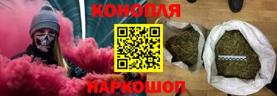 гашик Можга