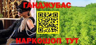 гашик Можга