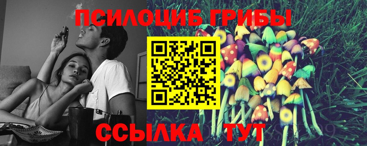 Псилоцибиновые грибы мухоморы Воркута